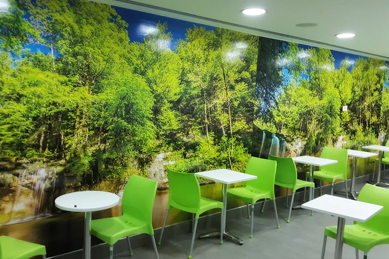 Habillage de mur en vinyle Clinique Myron