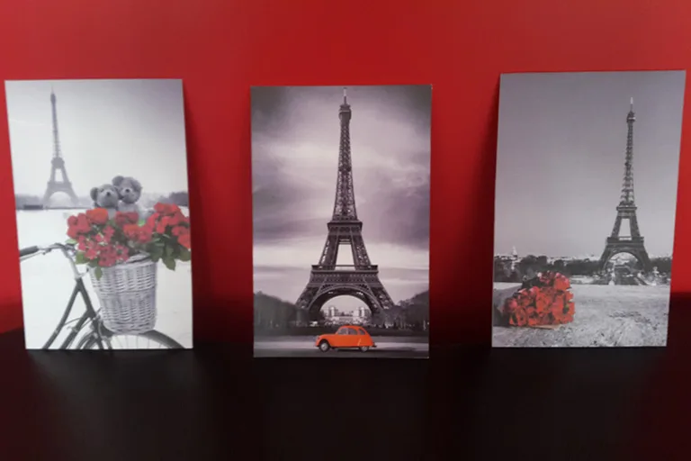 Vinyle imprimé collé sur un panneau en PVC