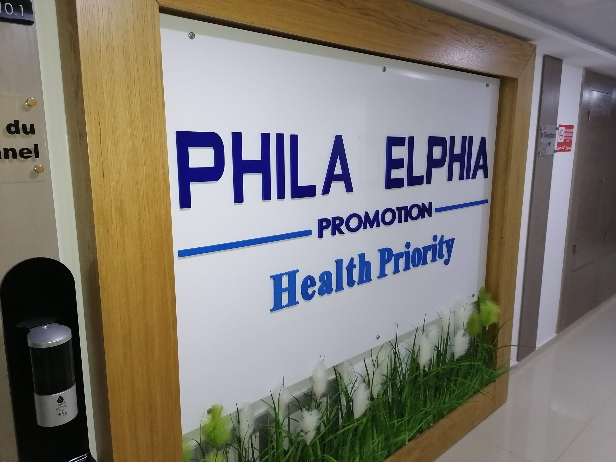 Enseigne non lumineuse en Lettres découpées – Phila Elphia